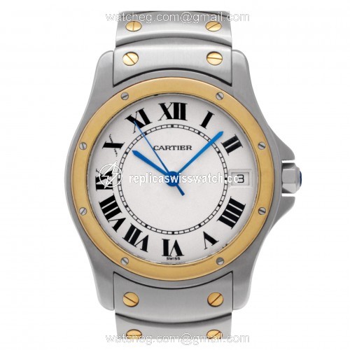Cartier W20026R3 Santos Automatic Male Stainless Steel Replica Cartier W20026R3 Santos Automatic Male Stainless Steel Replica
