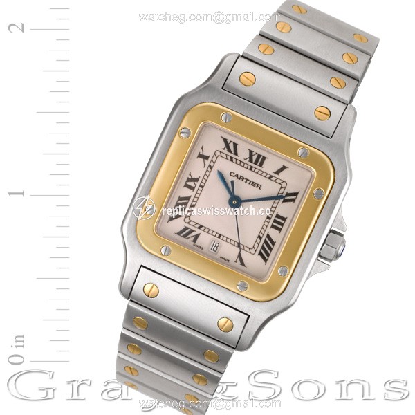 Cartier W20058C4 Santos Automatic Male Stainless Steel Replica Cartier W20058C4 Santos Automatic Male Stainless Steel Replica