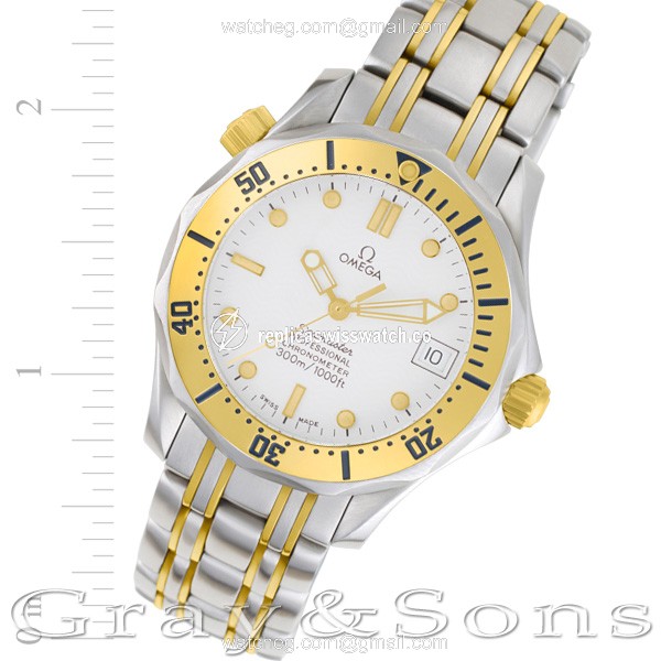 Omega 49637113 Seamaster Automatic Male Stainless Steel Replica Omega 49637113 Seamaster Automatic Male Stainless Steel Replica