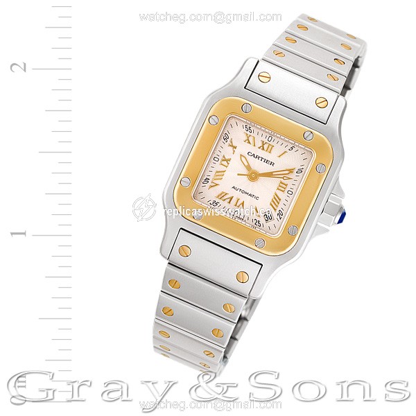 Cartier W20011C4 Santos Automatic Female Stainless Steel Replica Cartier W20011C4 Santos Automatic Female Stainless Steel Replica