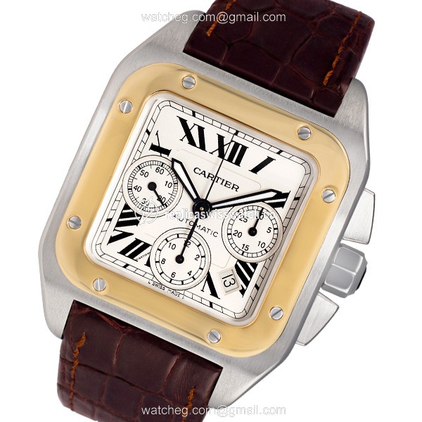 Cartier w20091x7 Santos 100 Automatic Male Stainless Steel Replica Cartier w20091x7 Santos 100 Automatic Male Stainless Steel Replica