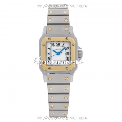 Cartier w20054d6 Santos Automatic Female Stainless Steel Watches Cartier w20054d6 Santos Automatic Female Stainless Steel Watches