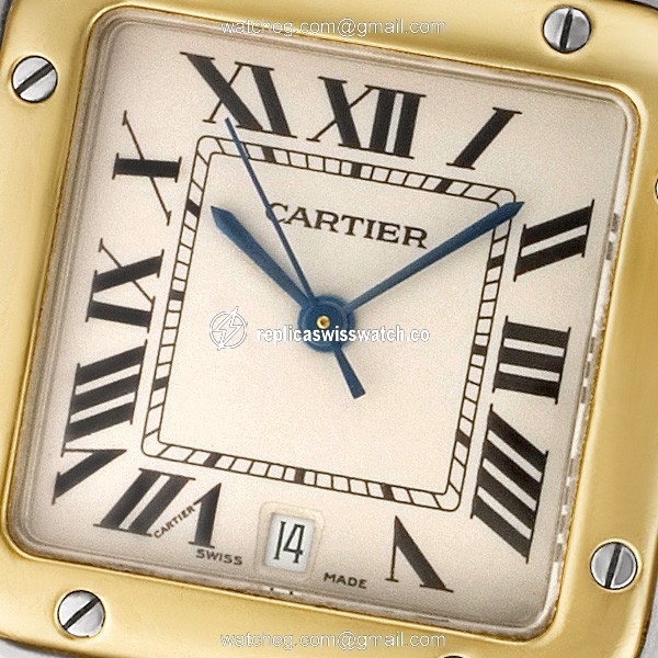 Cartier W20011C4 Santos Automatic Male Stainless Steel Watches Cartier W20011C4 Santos Automatic Male Stainless Steel Watches