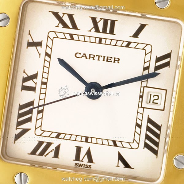 Cartier W20058C4 Santos Automatic Male Stainless Steel Watches Cartier W20058C4 Santos Automatic Male Stainless Steel Watches