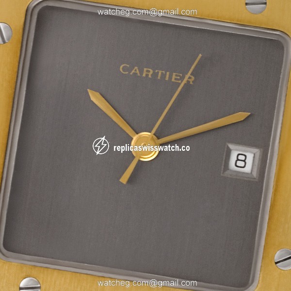 Cartier w20058c4 Santos Automatic Male Stainless Steel Watches Cartier w20058c4 Santos Automatic Male Stainless Steel Watches