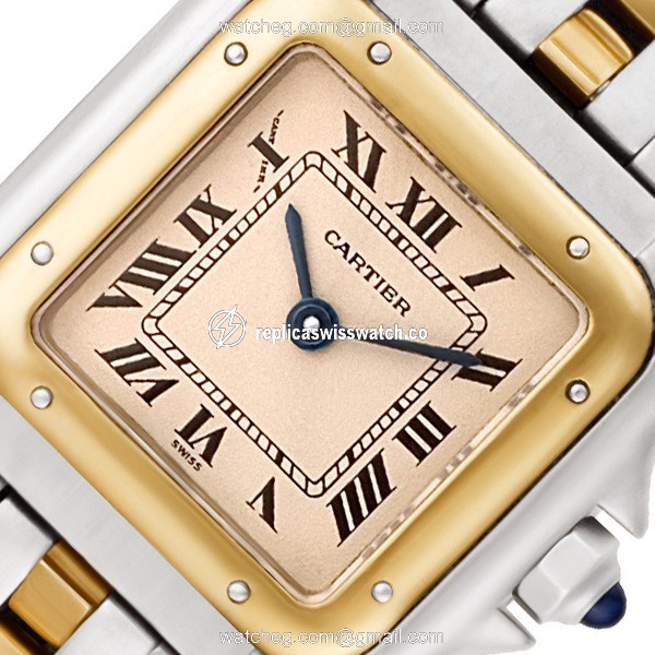 Cartier W25029B8 Panthere Quartz Female Stainless Steel Watches Cartier W25029B8 Panthere Quartz Female Stainless Steel Watches