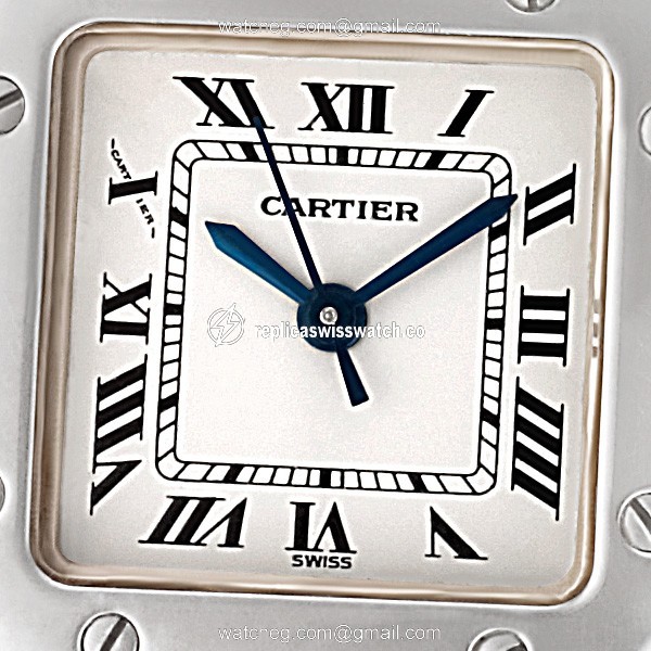 Cartier w20054d6 Santos Automatic Female Stainless Steel Watches Cartier w20054d6 Santos Automatic Female Stainless Steel Watches
