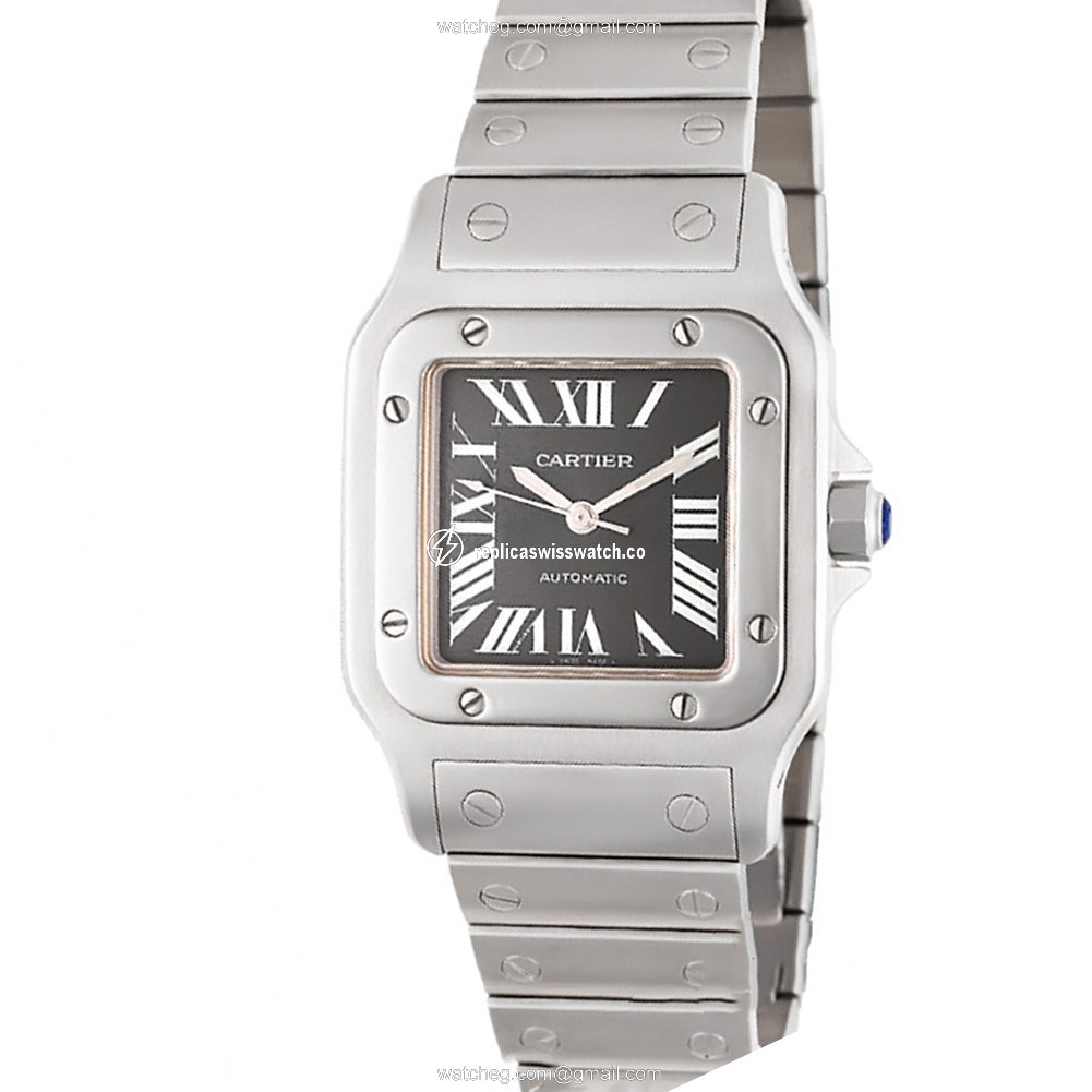 Cartier W20060D6 Santos Automatic Male Stainless Steel Watches Cartier W20060D6 Santos Automatic Male Stainless Steel Watches