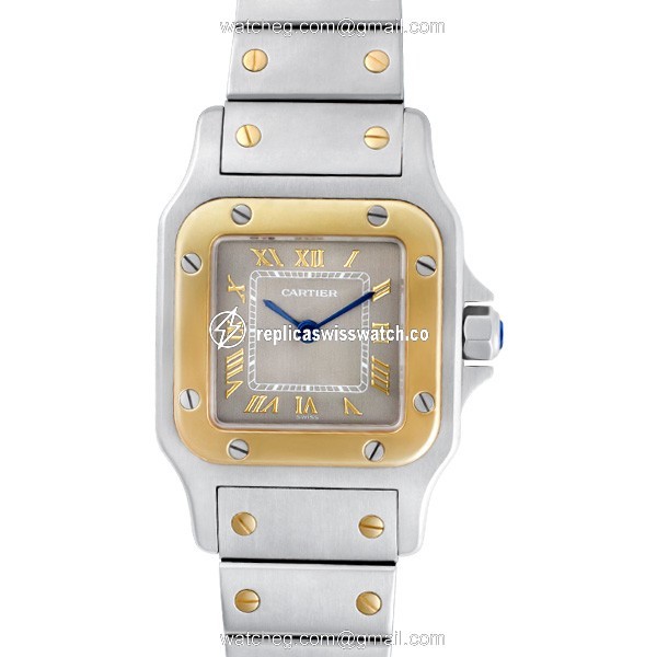 Cartier w20012c4 Santos Quartz Female Stainless Steel Watches Cartier w20012c4 Santos Quartz Female Stainless Steel Watches