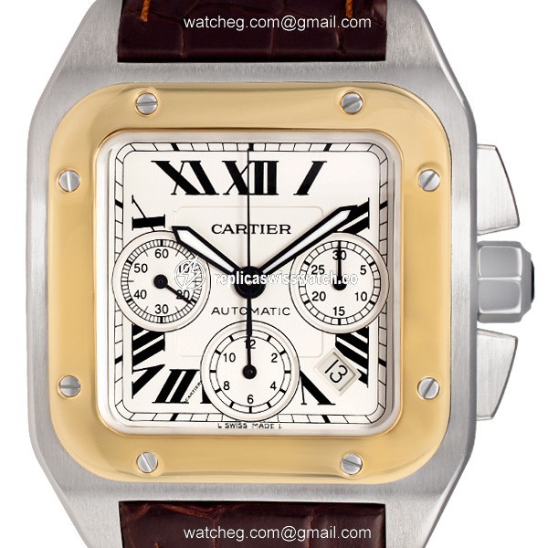 Cartier w20091x7 Santos 100 Automatic Male Stainless Steel Watches Cartier w20091x7 Santos 100 Automatic Male Stainless Steel Watches