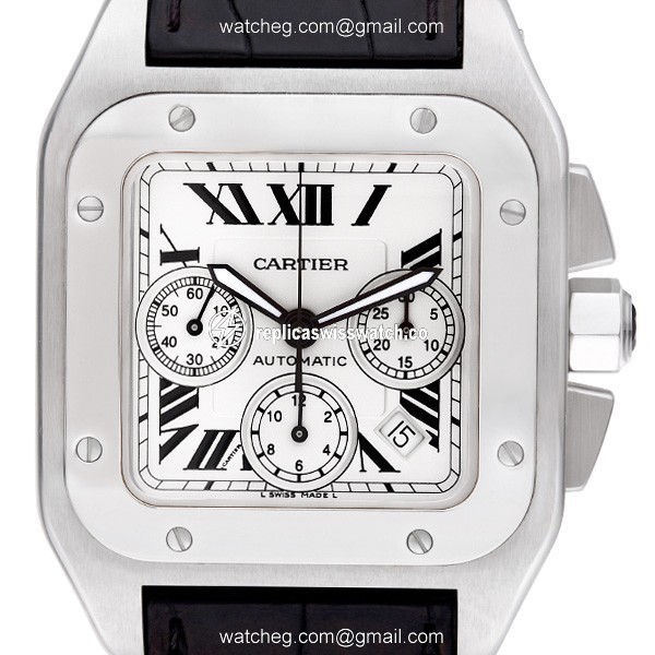 Cartier w2090x8 Santos 100 Automatic Male Stainless Steel Watches Cartier w2090x8 Santos 100 Automatic Male Stainless Steel Watches