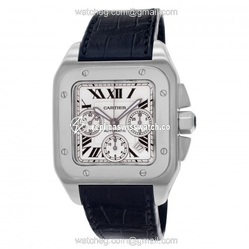 Cartier W20090x8 Santos 100 Automatic Male Stainless Steel Replica