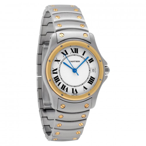 Cartier W20026R3 Santos Automatic Male Stainless Steel Watches Cartier W20026R3 Santos Automatic Male Stainless Steel Watches