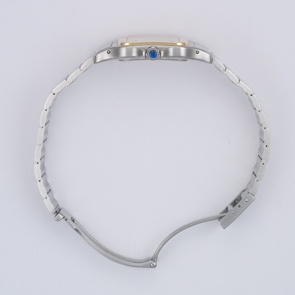Cartier W20058C4 Santos Automatic Male Stainless Steel Watches Cartier W20058C4 Santos Automatic Male Stainless Steel Watches