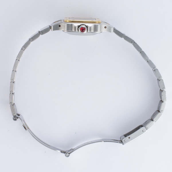 Cartier w20058c4 Santos Automatic Male Stainless Steel Watches Cartier w20058c4 Santos Automatic Male Stainless Steel Watches