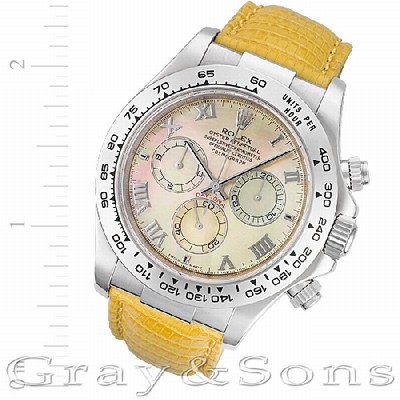 Rolex 116519 Daytona Automatic Male 18k White Gold Replica Watches