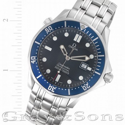 Omega 254118000 Seamaster Quartz Male Stainless Steel Replica Watches