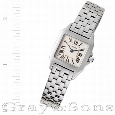 Cartier W25064Z5 Demoiselle Quartz Female Stainless Steel Replica Watches