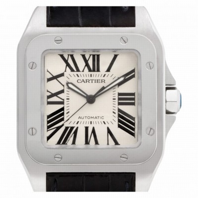 Cartier W20073X8 Santos 100 Automatic Male Stainless Steel Replica Watches
