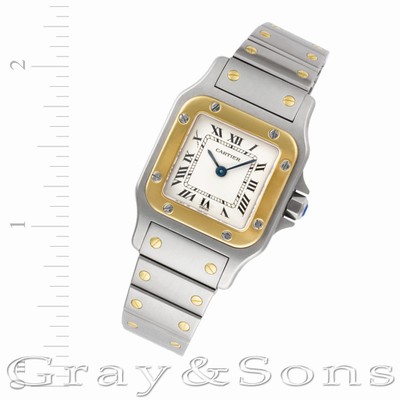 Cartier w20012C4 Santos Quartz Male Stainless Steel Replica Watches
