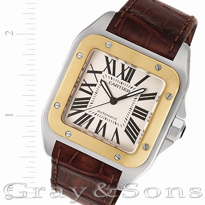 Cartier w20072x7 Santos 100 Automatic Male Stainless Steel Replica Watches