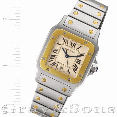 Cartier W20011C4 Santos Quartz Male Stainless Steel Replica Watches
