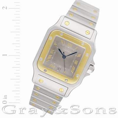 Cartier w20011c4 Santos Quartz Male Stainless Steel Replica Watches