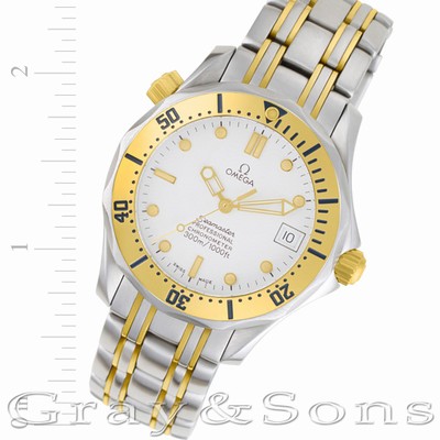 Omega 49637113 Seamaster Automatic Male Stainless Steel Replica Watches