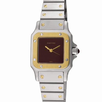 Cartier w20057c4 Santos Automatic Female Stainless Steel Replica Watches