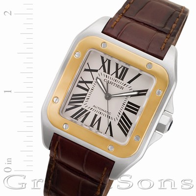 Cartier W20072X7 Santos 100 Automatic Male Stainless Steel Replica Watches