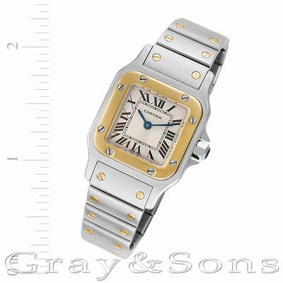 Cartier W20012C4 Santos Quartz Female Stainless Steel Replica Watches