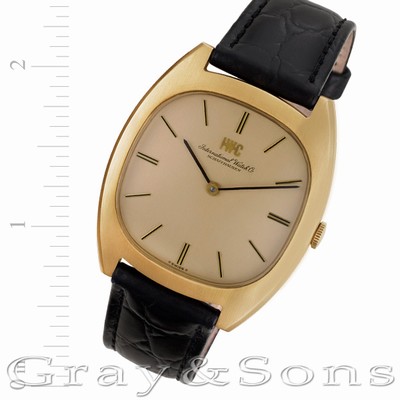 IWC 2570 Classic Manual Male 18k yellow gold Replica Watches