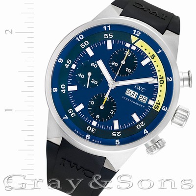 IWC IW378203 Tribute to Calypso Automatic Male Stainless Steel Replica Watches