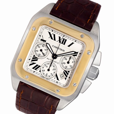 Cartier w20091x7 Santos 100 Automatic Male Stainless Steel Replica Watches