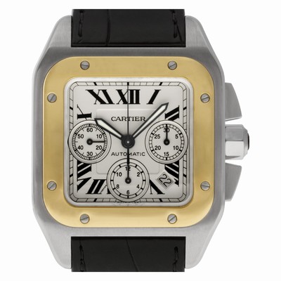 Cartier w20091x7 Santos 100 Automatic Male Stainless Steel Replica Watches