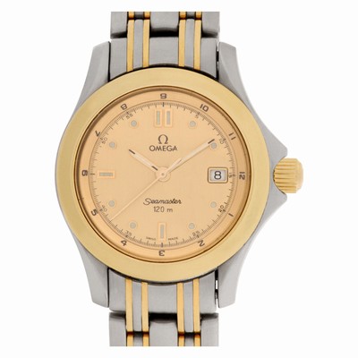 Omega 23711000 Seamaster Quartz Female Stainless Steel Replica Watches